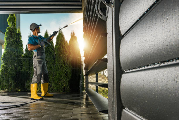 Best Roof Pressure Washing  in Lincoln Park, MI
