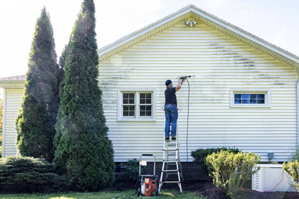 Best Residential Pressure Washing Services  in Lincoln Park, MI