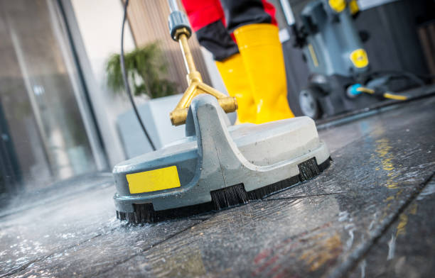 Best House Pressure Washing  in Lincoln Park, MI