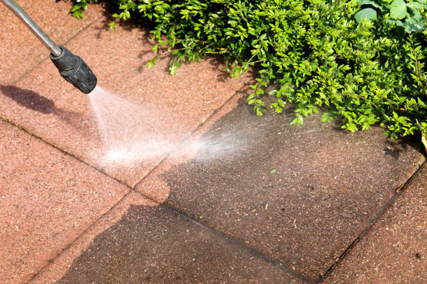 Deck Cleaning Services in Lincoln Park, MI